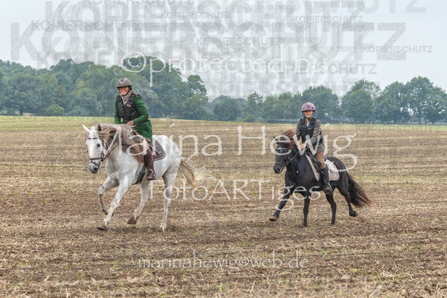 Jagd Perdoel_MarinaHewigMCH04197 | Fotografie, FotoArt, PferdesportArt, Pferdesportfotografie, Landschaftsfotografie, Reisefotografie, Reise, Pferde - Realisiert mit Pictrs.com