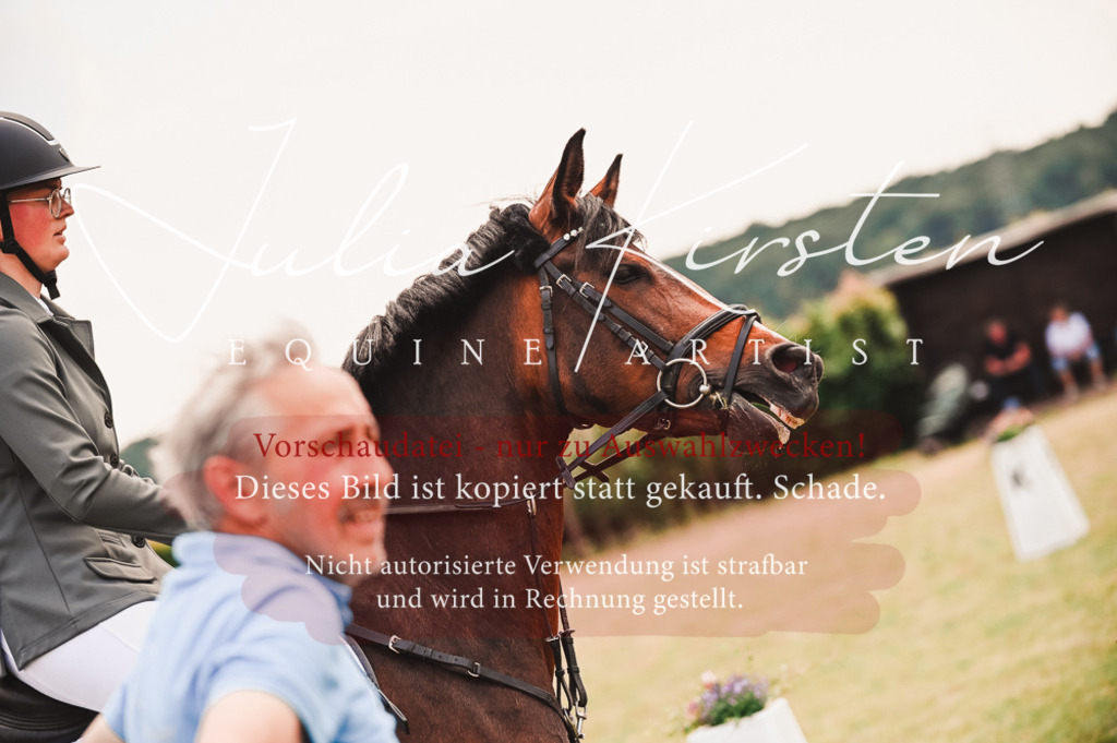 DSC_6892 | Pferde- und Turnierfotografie in Westsachsen. Pferdeportraits, Auftragszeichnungen und intuitive Kunst.