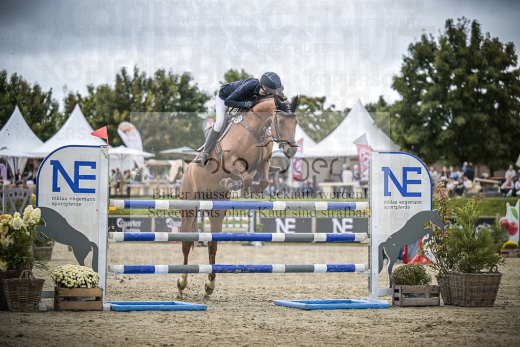 DOS_2163 | Entdecke hochwertige Reitturnierfotos von Foto Oger. Professionell, emotional und authentisch – jetzt Lieblingsmomente im Shop bestellen.Deutschlandweite Turnierfotografie. - Realisiert mit Pictrs.com