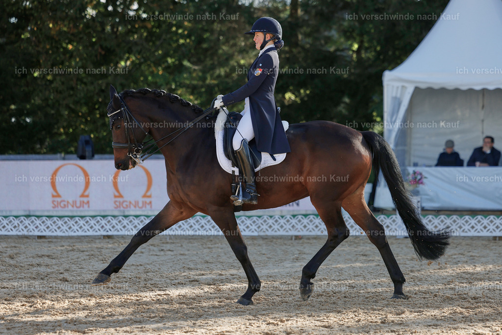 09_1-155-DRESSUR  S_  -StoibPH-5575 | working equitationturnier fotograf videograf stoibphotography marixx film working equitation deutschland reitsport turnierfotografie eventfotografie equestrian events