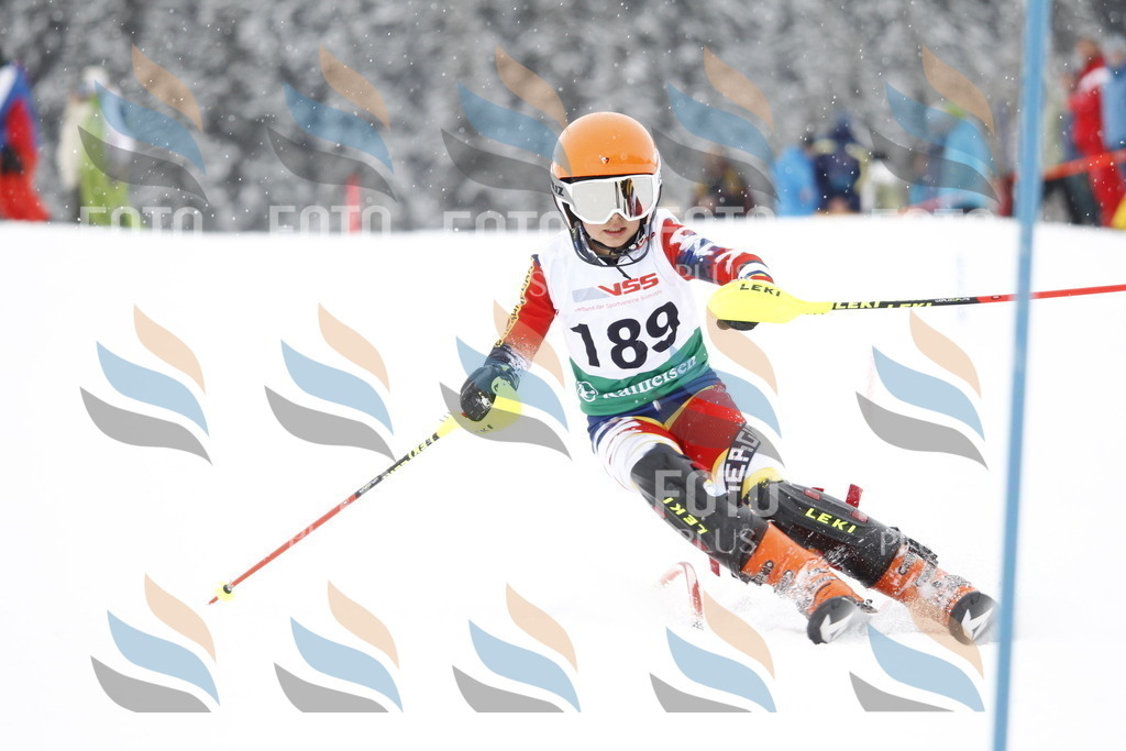 A2108 | holidayphoto