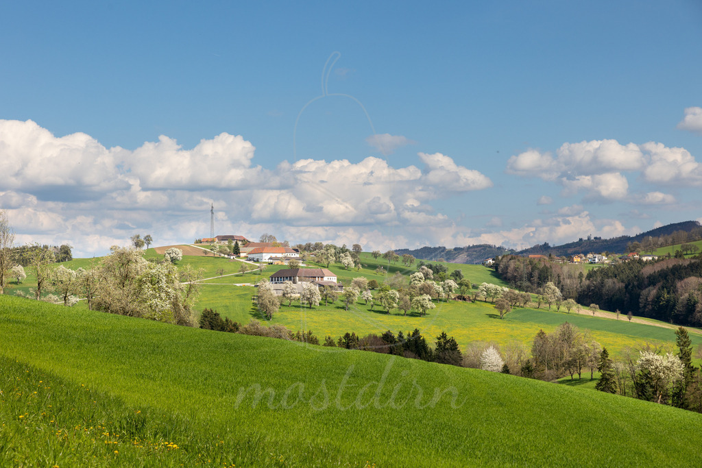 Wolkenspiel trifft Birnbaumblüte | Bei Veröffentlichung des Bildes ist eine Namensnennung wie folgt erforderlich: Foto: Mostdirn Irmgard Wieser - Realisiert mit Pictrs.com