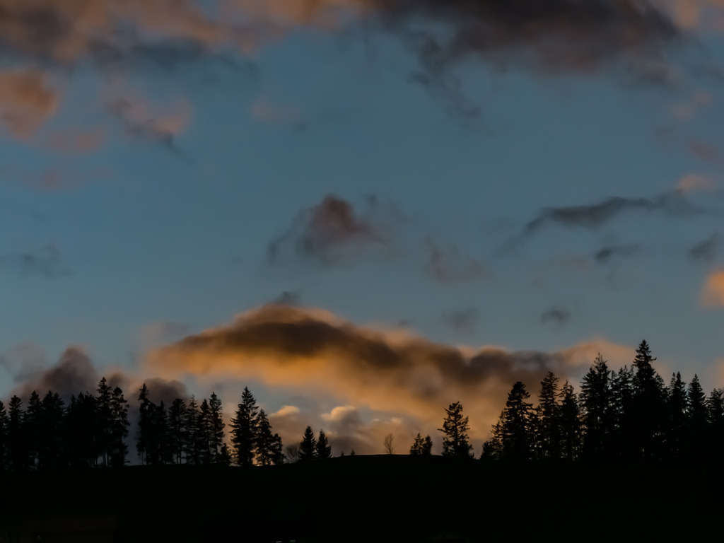 PSX_20230326_001412 | mtkfoto_ - Realisiert mit Pictrs.com