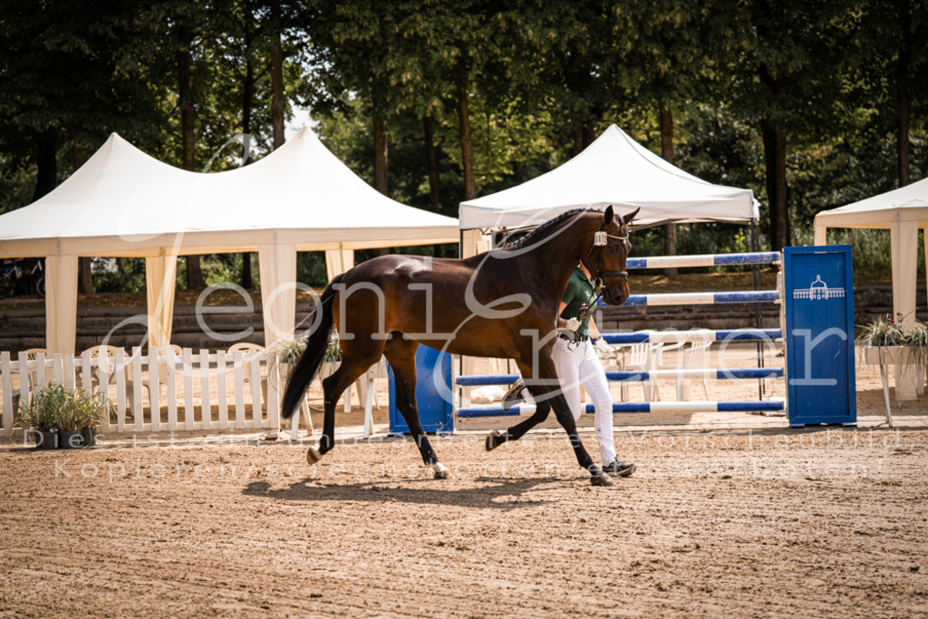 1.Fr00127 | Leoni Ertmer Photography - Realisiert mit Pictrs.com