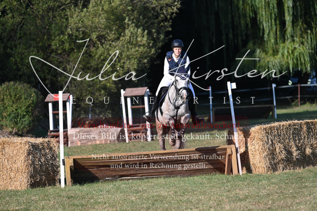 DSC_9064 | Pferde- und Turnierfotografie in Westsachsen. Pferdeportraits, Auftragszeichnungen und intuitive Kunst.