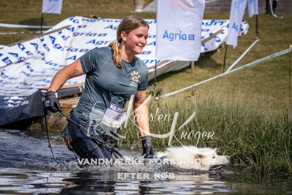 _ZZ905350900 | kk-dogfotos