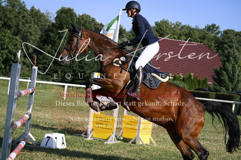 DSC_1655 | Pferde- und Turnierfotografie in Westsachsen. Pferdeportraits, Auftragszeichnungen und intuitive Kunst.