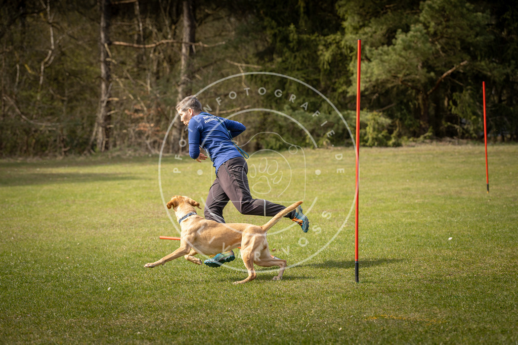 Pfotenfotografie_DV3A9720 | Hundefotografie, Tierfotograf, Pfotenfotografie, Fotoshooting Hund, Hunde Portrait, Hundesport, Hundeportraits, Heideshooting, Hunde, Sportfotograf, Hundefotograf, Turnierhundsport, THS,  - Realisiert mit Pictrs.com