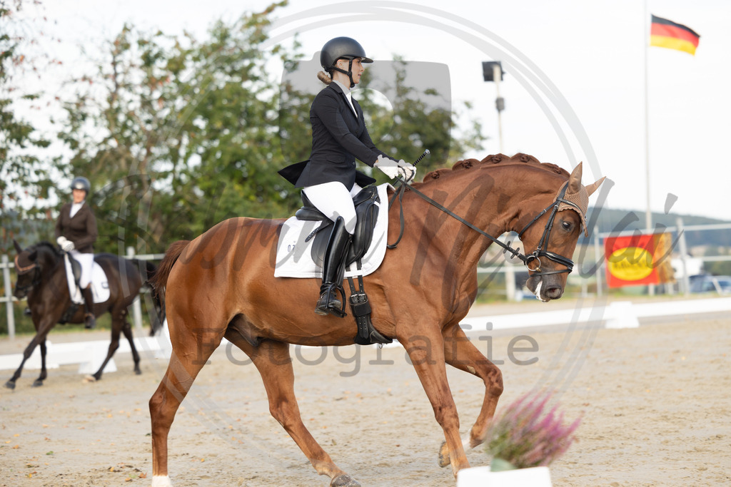 994A0347 | sabrinanicolaifotografie - Realisiert mit Pictrs.com