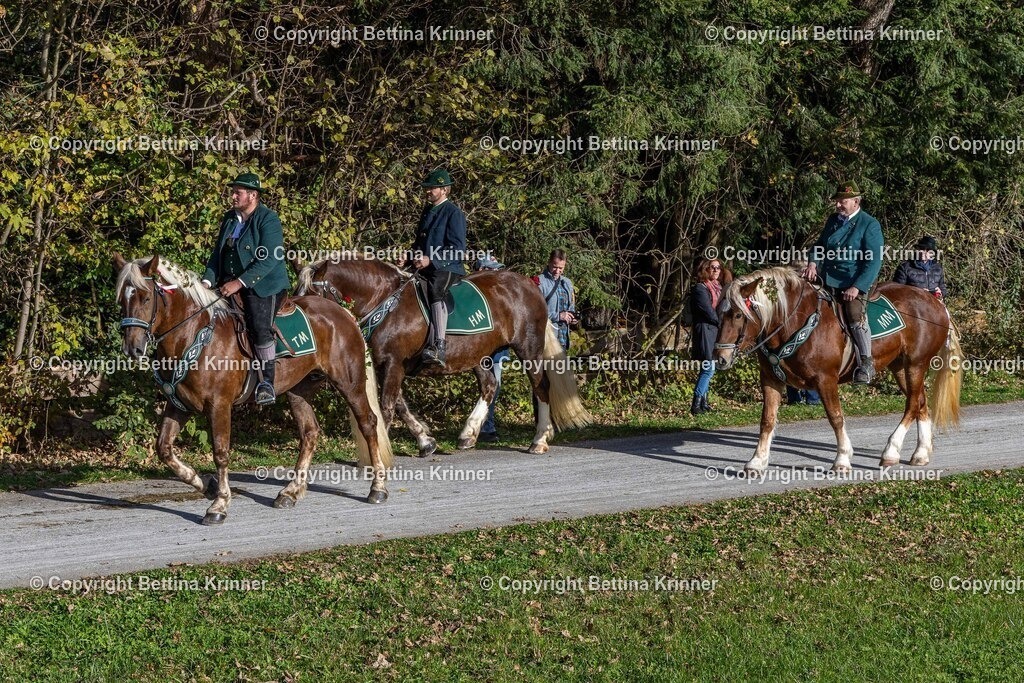 LBT24-943 | foto-bettina-krinner - Realisiert mit Pictrs.com