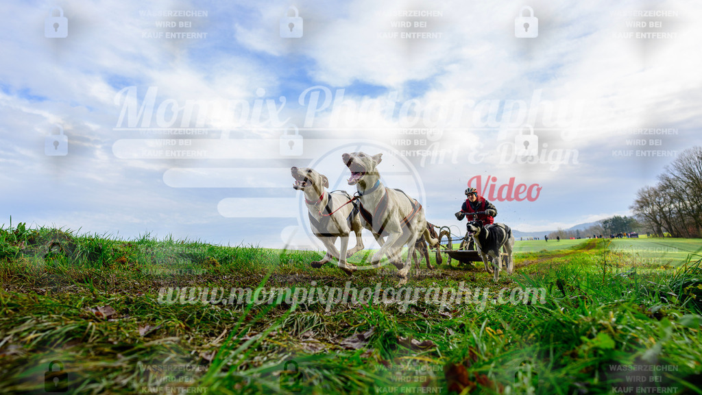 MompixPhotography_Staufertrail2024_SO_Kart-3 | PayLife