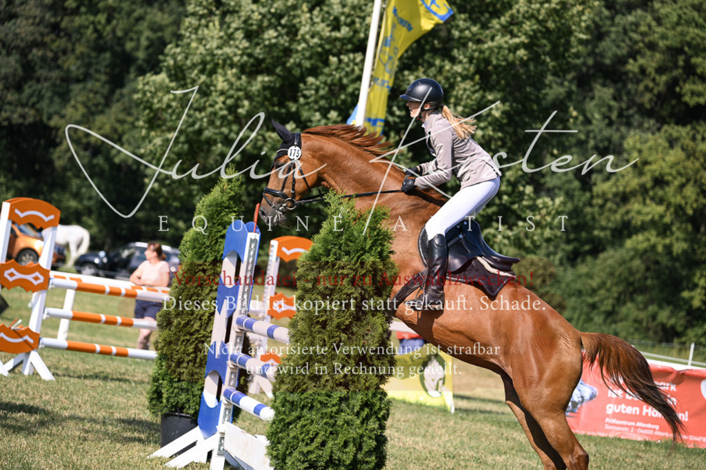 DSC_1302 | Pferde- und Turnierfotografie in Westsachsen. Pferdeportraits, Auftragszeichnungen und intuitive Kunst.