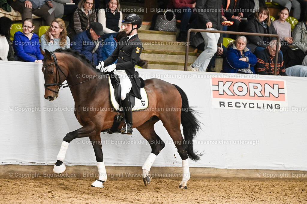 20260307_Hengstvorstellung-Marbach_0339 | equistock