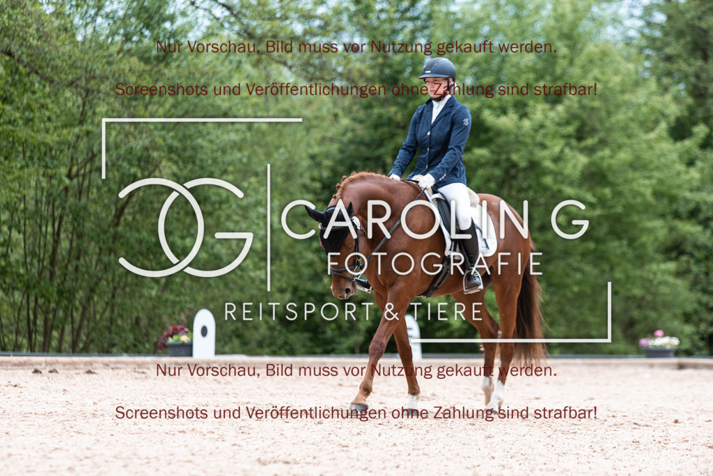 DSC_6833 | Turnierfotografin Carolin Gieschke,Reitsport Turnierfotografie Carolin G Fotografie | Turnierfotos aus Kirchheim/Teck, Esslingen, Stuttgart und dem Bodenseekreis