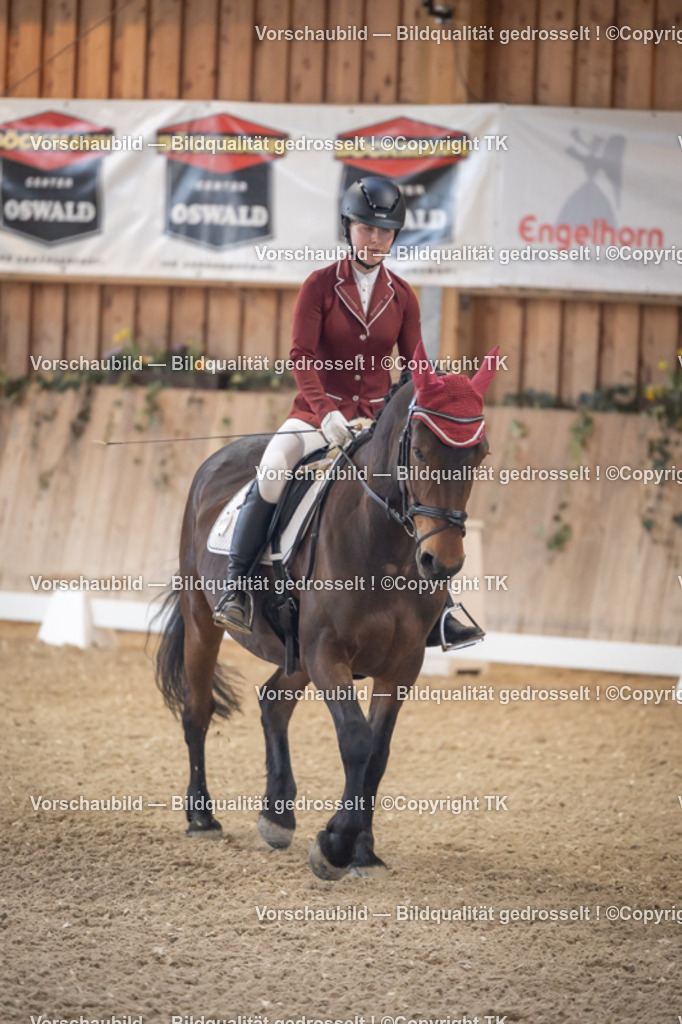 _D5A2120 | Emotionale Pferde- & People-Fotografie rund um Heidelberg, Leimen & Umgebung. Natürliche Fotos von Pferd, Mensch & Familie. Jetzt Termin sichern!