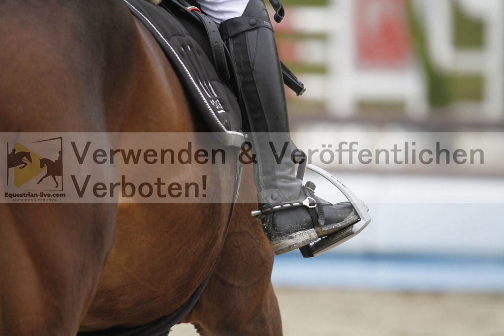 _MG_2943 | equestrian-live-com