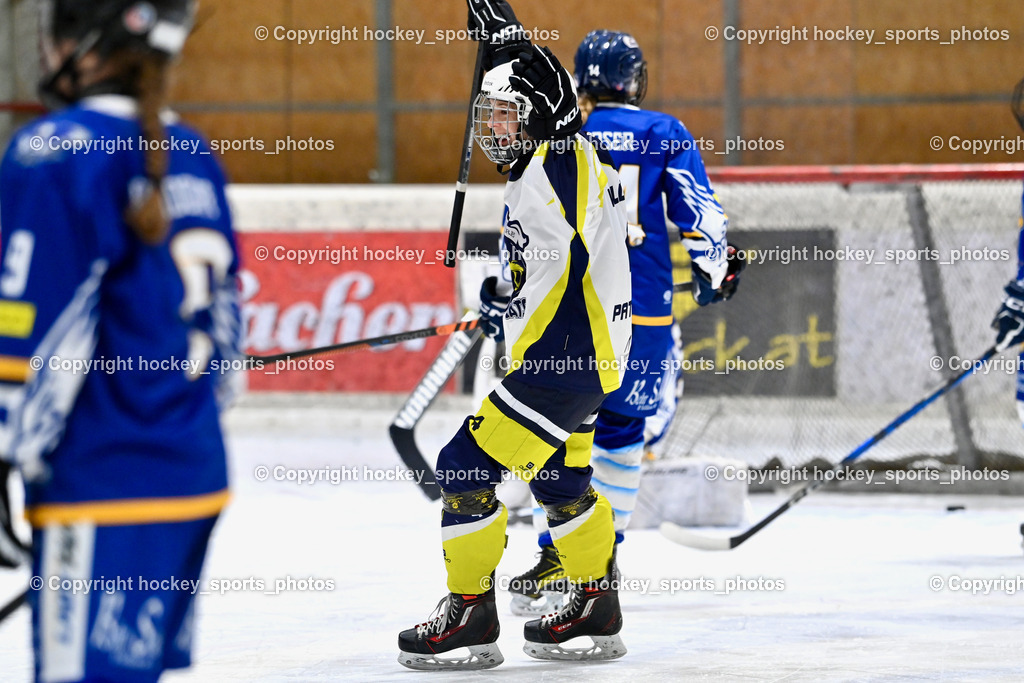Wildcats Paternion vs. Lady Hawks  | Jubel #4 Oberzaucher Christina WILDCATS PATERNION, Wildcats Paternion vs. Lady Hawks , Wildcats Paternion vs. Lady Hawks  am 27.01.2025 in Spittal an der Drau (Eissportzentrum Spittal), Austria, (Photo by Bernd Stefan)