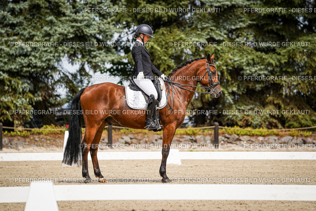 DSC04962 | Pferdegrafie