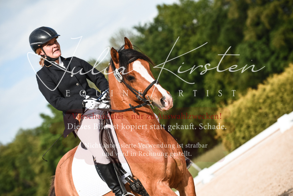 20230518_JK-Röhrsdorf-12-0684 | Pferde- und Turnierfotografie in Westsachsen. Pferdeportraits, Auftragszeichnungen und intuitive Kunst.