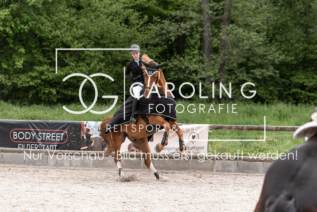 DSC_0895 | Turnierfotografin Carolin Gieschke, Turnierfotografie Carolin G Fotografie, Turnierfotos Kirchheim/Teck, Esslingen, Stuttgart, Bodenseekreis