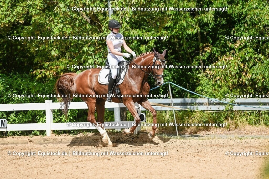 20230715_02_Dressurreiterprüfung Kl.L_0241 | equistock