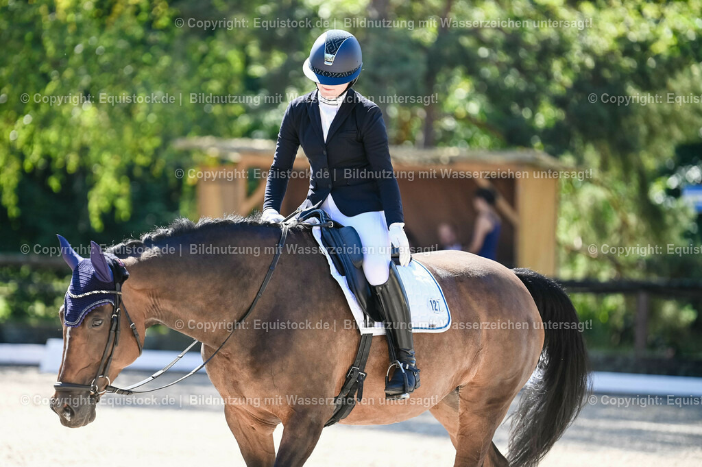 20230908_06_Dressur-L-Trense_0500 | equistock