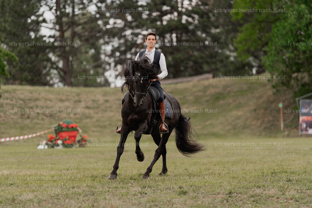 Showprogramm-411 | working equitationturnier fotograf videograf stoibphotography marixx film working equitation deutschland reitsport turnierfotografie eventfotografie equestrian events