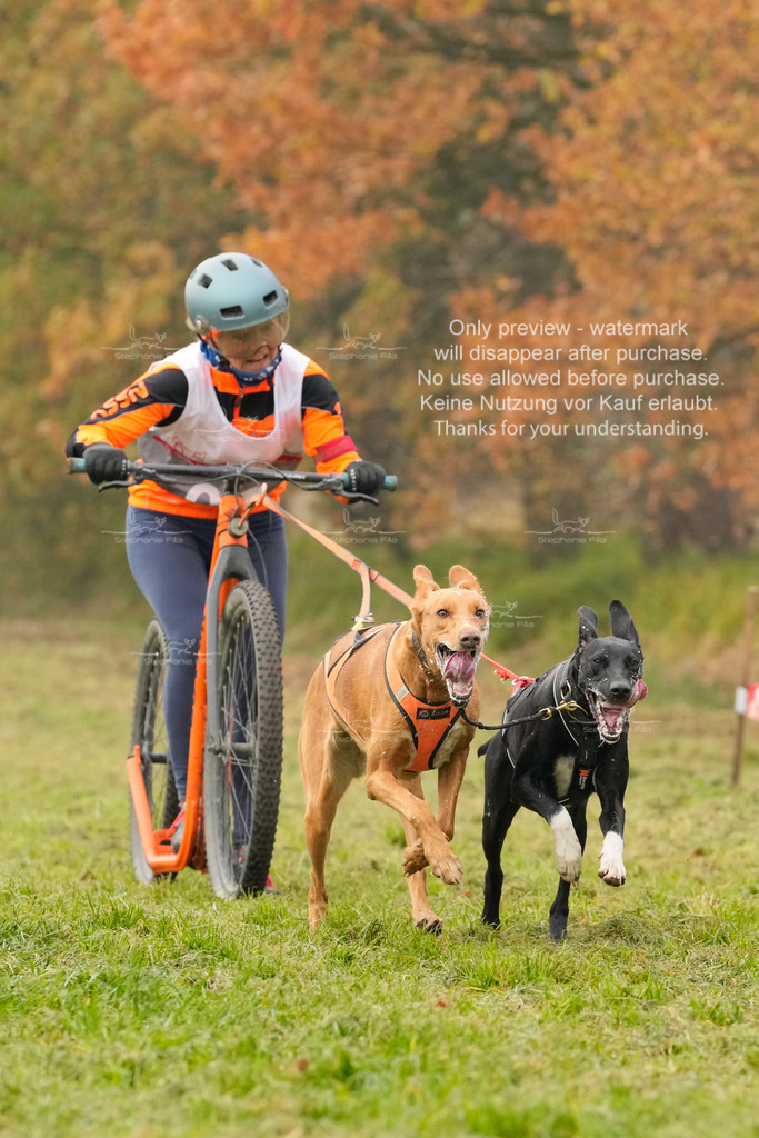 Visbeck_Sa_DS2DR2-15 | stephaniefillaphotographie - Realisiert mit Pictrs.com