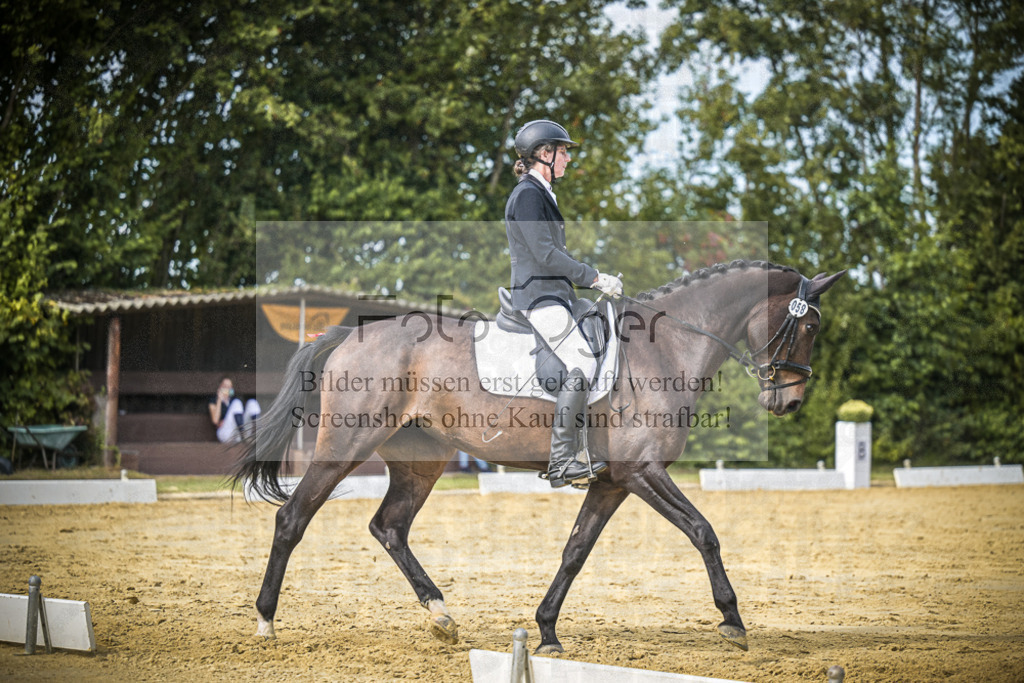 DOS_6003 | Entdecke hochwertige Reitturnierfotos von Foto Oger. Professionell, emotional und authentisch – jetzt Lieblingsmomente im Shop bestellen.Deutschlandweite Turnierfotografie. - Realisiert mit Pictrs.com