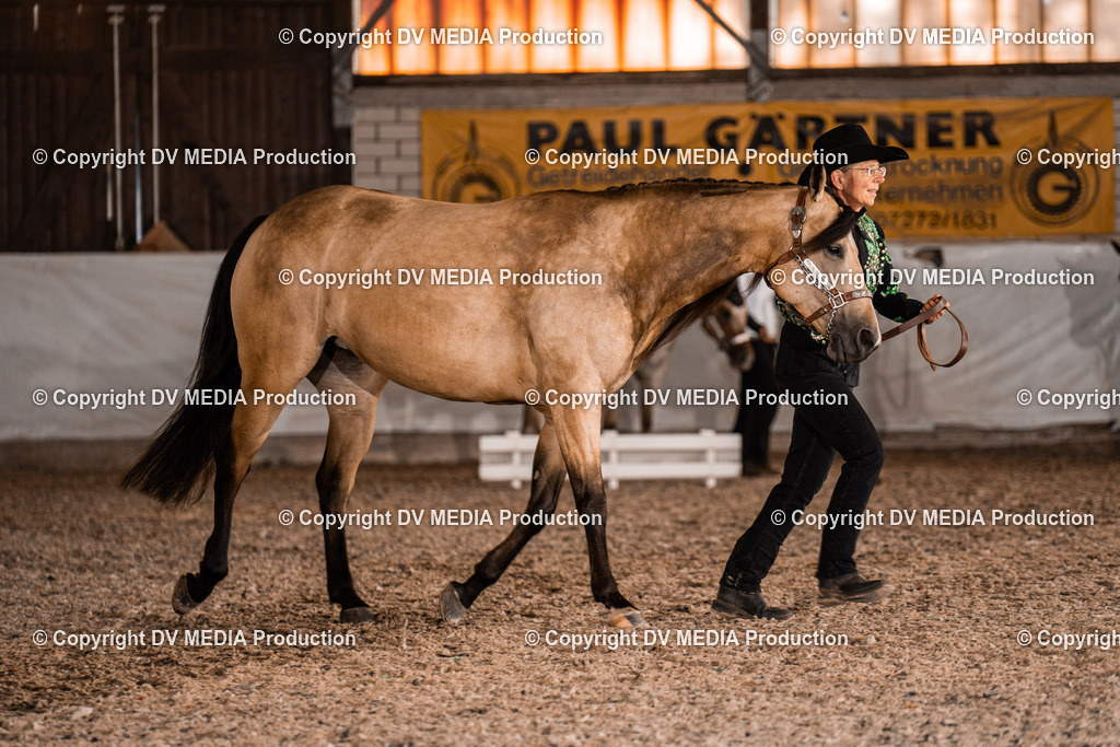 ZH100085 | dv-media-shop - Realisiert mit Pictrs.com