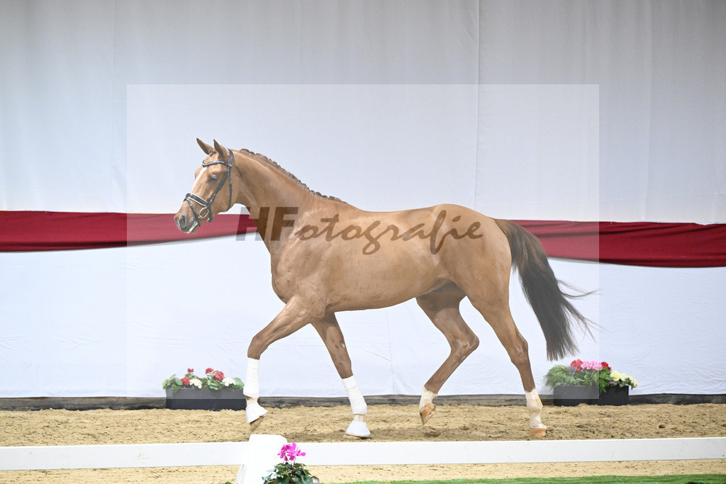 Kat-Nr. 52 v. Vivino_ZG Syha u Winkler_63221455 | hf-fotografie - Realizzato con Pictrs.com