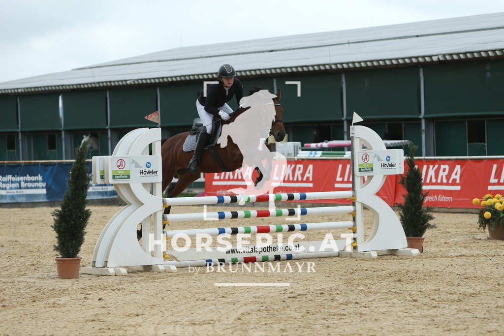 DL2Q0907 | Willkommen bei Brunnmayr - Design & Fotografie – Ihrem Spezialisten für Reitturniere und Pferdeveranstaltungen in Oberösterreich, Salzburg und Bayern! Seit über 17 Jahren sind wir leidenschaftlich dabei.