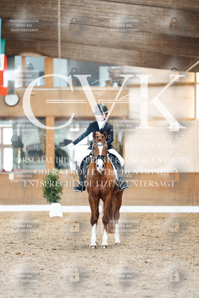 CK908142 | Turnierfotografie Pferdefotografie Trier Rheinland-Pfalz Pferdesport Reitsport Tierfotografie Sportfotografie Pferdevideo Pferdevideografie Equestrianvideography equestrianphotography  - Realisiert mit Pictrs.com