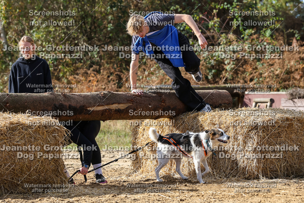 Dog Paparazzi - Strongdog 10-25-5179 | Dog Paparazzi Jeanette Grottendiek Fotografie & Videografie - Realisiert mit Pictrs.com