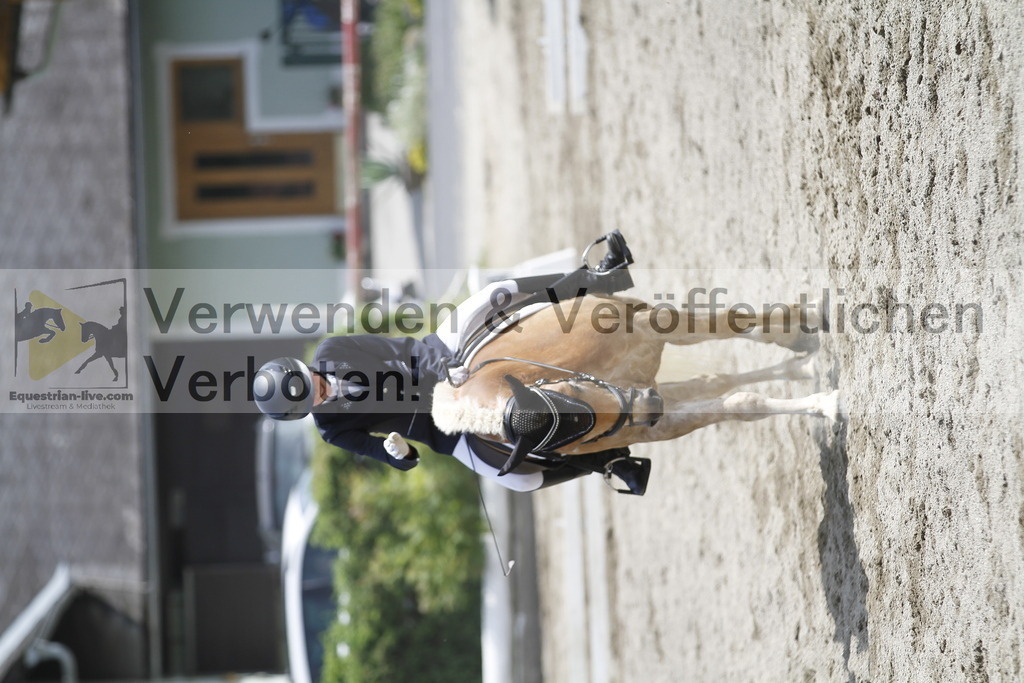 _MG_8590 | equestrian-live-com