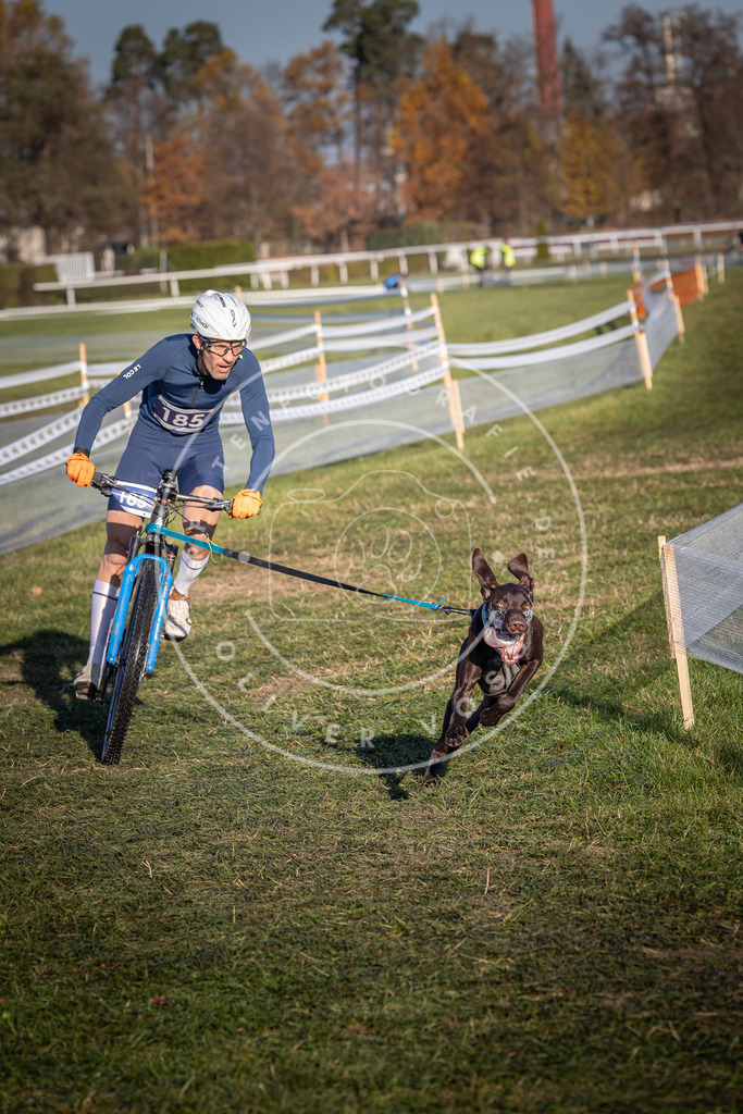 CaniXpix_0L8A4254 | Hundefotografie, Tierfotograf, Pfotenfotografie, Fotoshooting Hund, Hunde Portrait, Hundesport, Hundeportraits, Heideshooting, Hunde, Sportfotograf, Hundefotograf, Turnierhundsport, THS,  - Realisiert mit Pictrs.com