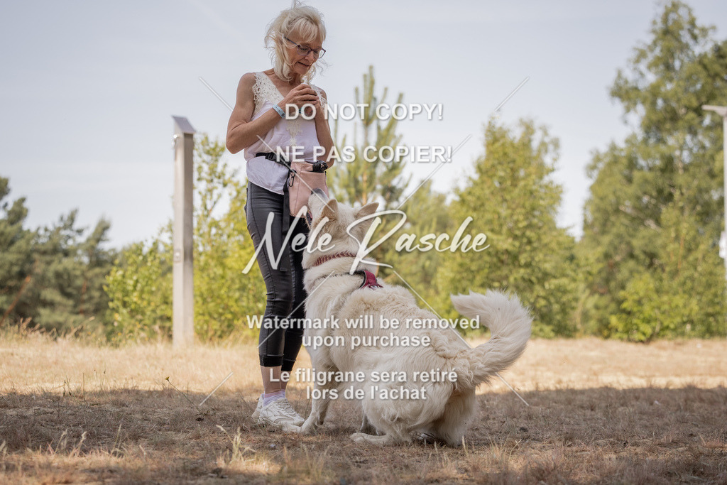nelerasche_soDD2_209 | nelerasche