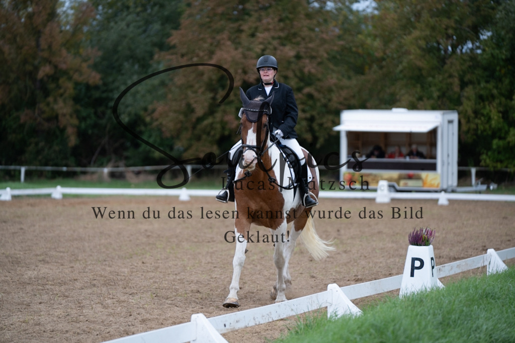 A7V05007 | Pferdefotograf