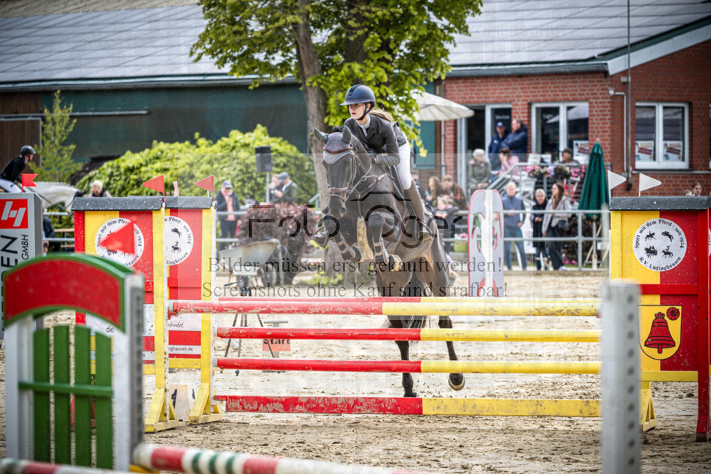 DOS_1537 | Reitturnier Lüdinghausen - Realisiert mit Pictrs.com