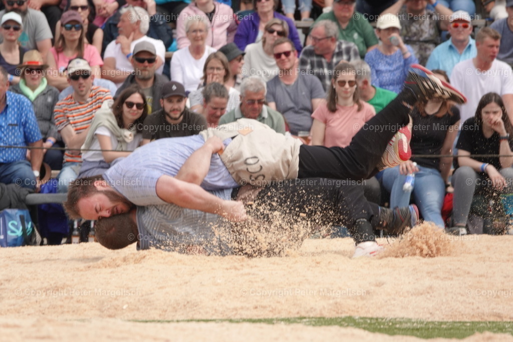 DSC03697 | Schwingen - Realisiert mit Pictrs.com