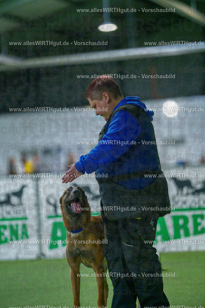 7R503702 | Professionelle Tierfotografie in Mönchengladbach von Daniel Wirth (allesWIRTHgut). Liebevolle & natürliche Bilder von Hunden & Katzen für unvergessliche Erinnerungen.