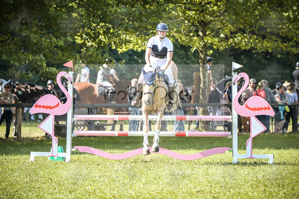 DOS_0714 | Entdecke hochwertige Reitturnierfotos von Foto Oger. Professionell, emotional und authentisch – jetzt Lieblingsmomente im Shop bestellen. - Realisiert mit Pictrs.com