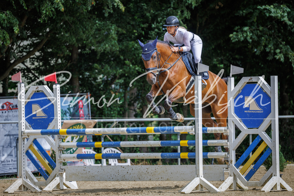 20260705-_3LI6596 | Tierfotografie Pferde, Hunde, Katzen, Haustiere.
Turnierfotografie Reitturniere, Reiten, Springreiten, Dressur in Hanau, dem Main-Kinzig-Kreis und dem Rhein-Main- Gebiet um Frankfurt