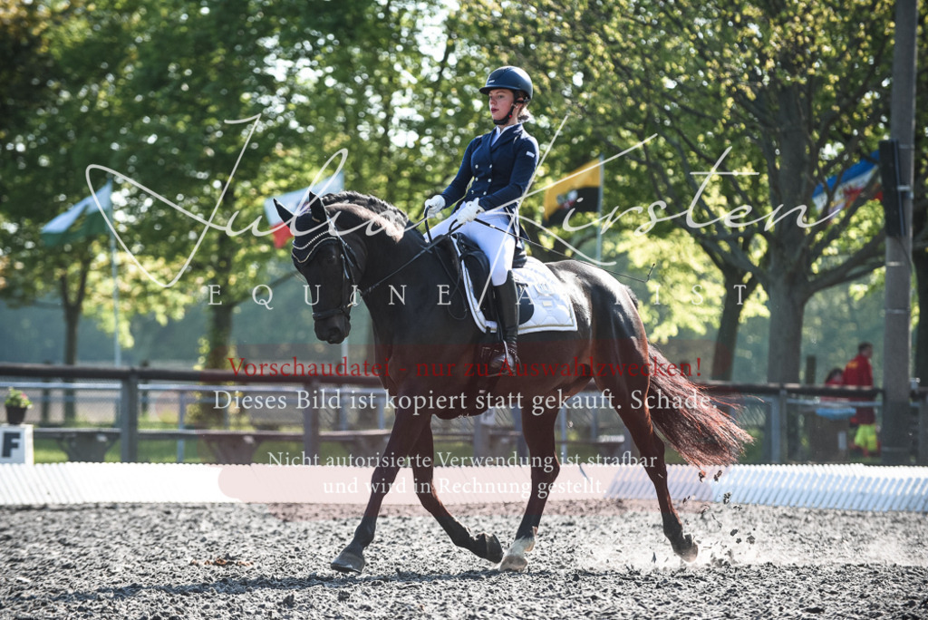 DSC_8560 | Pferde- und Turnierfotografie in Westsachsen. Pferdeportraits, Auftragszeichnungen und intuitive Kunst.