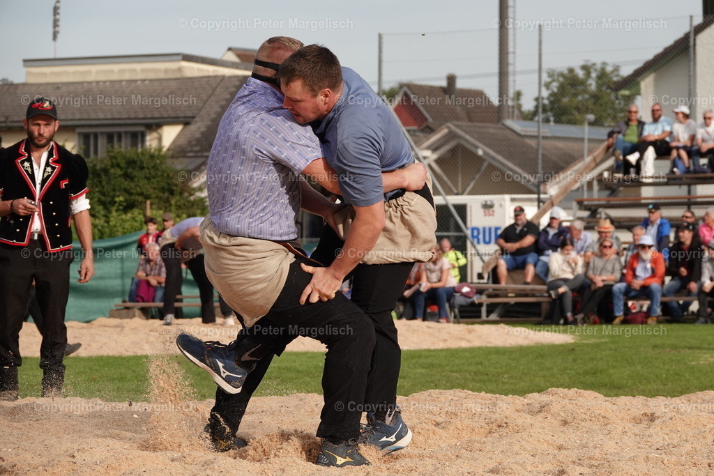 DSC08444 | Schwingen - Realisiert mit Pictrs.com