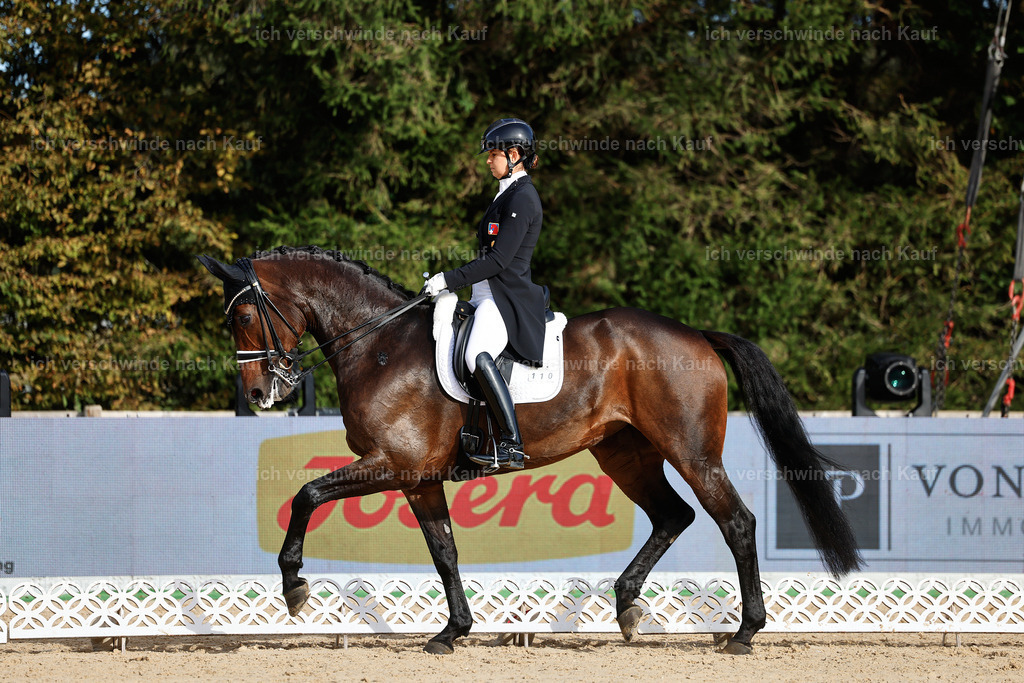 13-110-S___ -StoibPH-6934 | working equitationturnier fotograf videograf stoibphotography marixx film working equitation deutschland reitsport turnierfotografie eventfotografie equestrian events