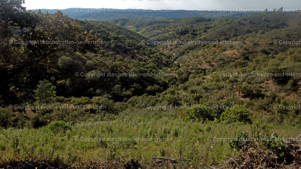  Eingeschnittenes Tal nahe Cortelha, Serra do Caldeirão, Algarve |  Eingeschnittenes Tal nahe Cortelha, Serra do Caldeirão, Algarve - Realisiert mit Pictrs.com