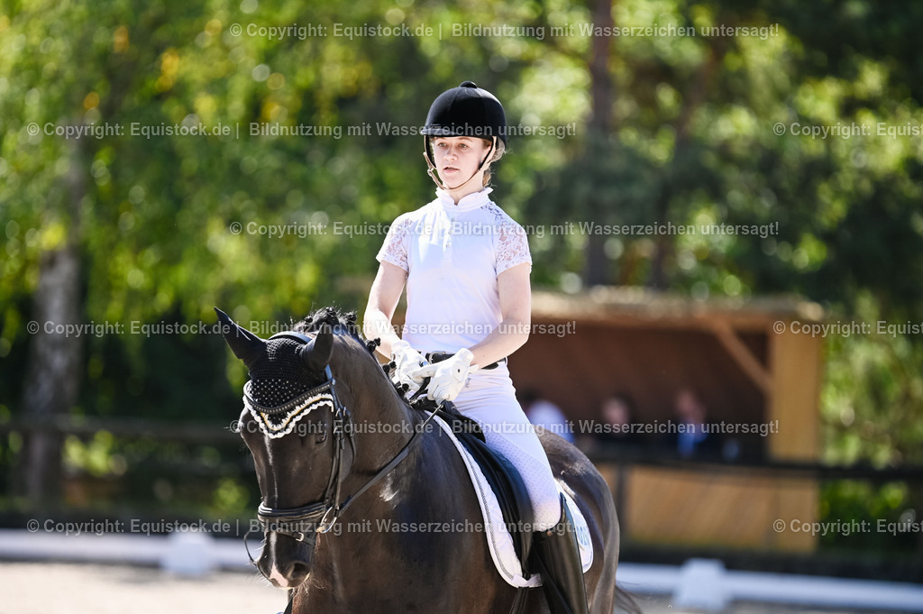 20230908_06_Dressur-L-Trense_0266 | equistock