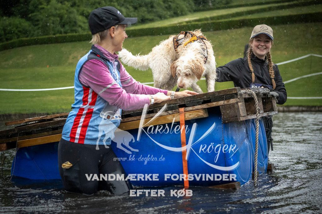 1325_ZZ98304 | kk-dogfotos