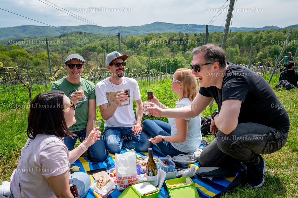 DSC_9803 | bre, Bergsträßer Weinlagenwanderung,,Rast oberhalb des Fürstenlagers, Picknick im Grünen,  Bild: Thomas Neu